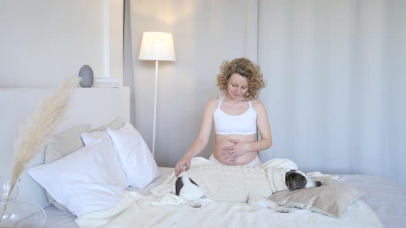 Happy Pregnant Woman Relaxing In Bed With Her Dog At Home