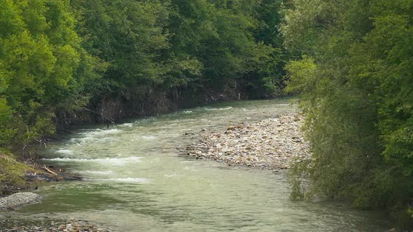 Mountain River In Wood