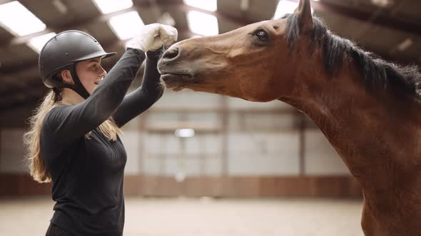 Woman In Riding Hat Gesturing With Hands To Horse In Paddock