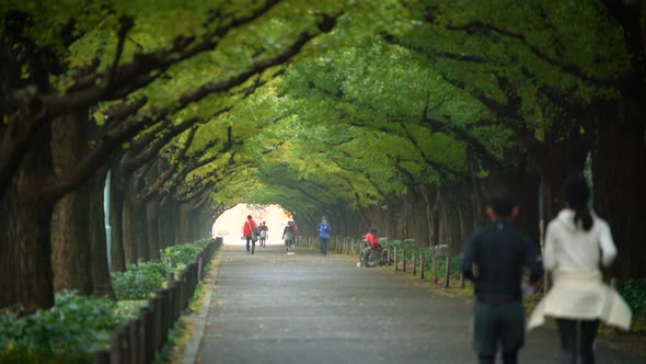 Japanese People Running for Exercise in Tokyo