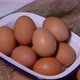 Chicken eggs on bowl - VideoHive Item for Sale