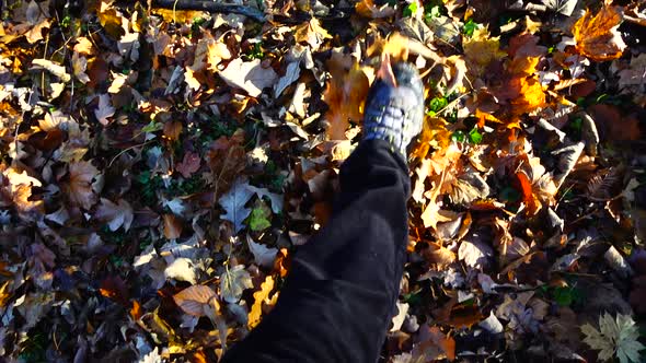 A man walks on fallen autumn leaves. Slow motion.