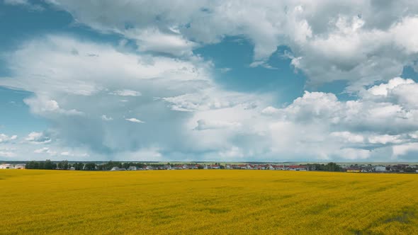 Dramatic Sky With Rain Clouds On Horizon Above Rural Landscape Canola Colza Rapeseed Field