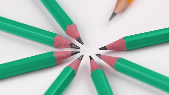 Creative concept of individuality and uniqueness with sharpened pencils on a white background