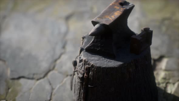 Old Anvil Attached To a Stump