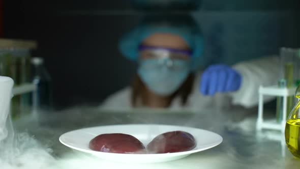Lab Assistant Examining Swine Kidneys With Magnifying Glass, Nutritional Quality