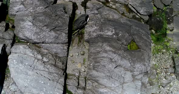 Rocky tidal waters in the state of Rhode Island.  This is a down shot taken from a drone.