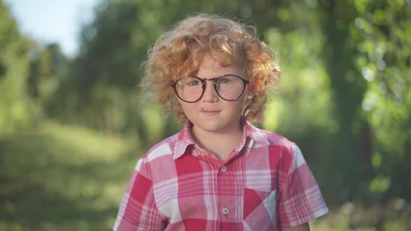 Nerd Cute Redhead Little Boy in Eyeglasses Posing in Sunny Spring Summer Park Outdoors