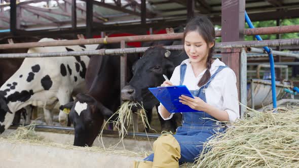 Asian attractive dairy farmer woman working alone outdoors in farm.