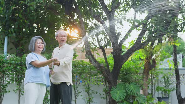 Asian attractive senior couple spending time outdoor gardening together at home in the evening.