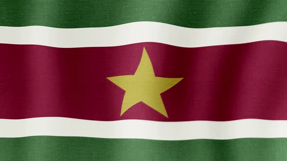 The National Flag of Suriname alt