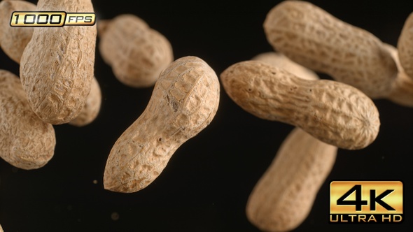 Flying Peanuts in Shells