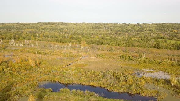 Autumn Forest River