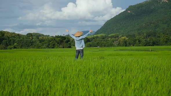 Farmer Enjoying On Rice Fields