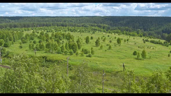 Aerial View of a Spacious Field with Young Trees