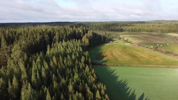 Beautiful aerial shot flying over an evergreen forest in Finland national park