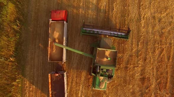 Combine Unloads Grain Into Truck