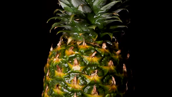 Water Dripping Down on Fresh Juicy Dole Pineapple - Fruit Concept