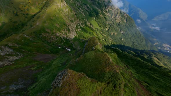 Speed FPV Sport Drone Raising Up Natural Botanical Flowers Dive High Cliff Peak Valley Landscape