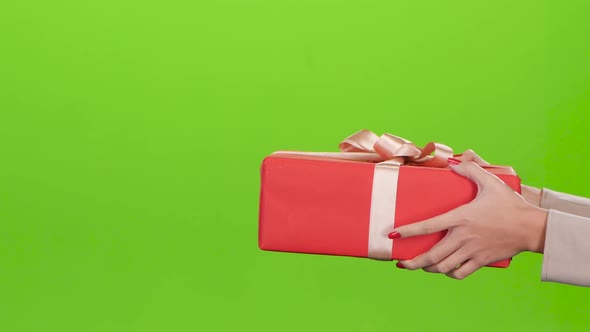 Gift Box. Girl Gives a Man Red Box. Close Up