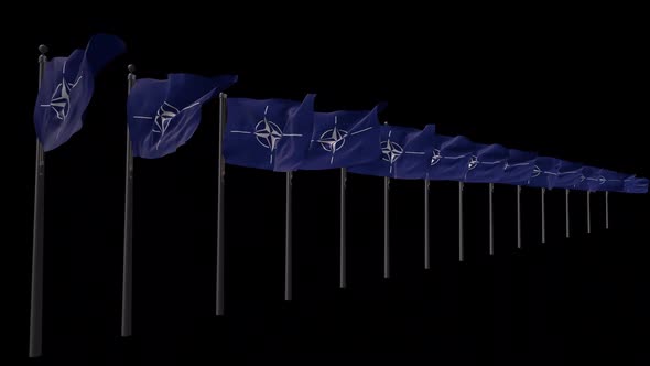 Row Of Nato Flags With Alpha 2K 