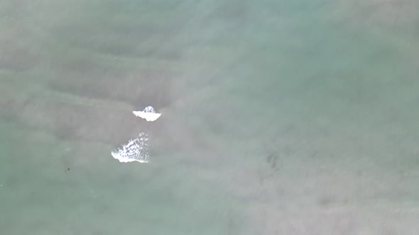 Cargo Ship Standing at Shoal of Sand Beach After Run Aground