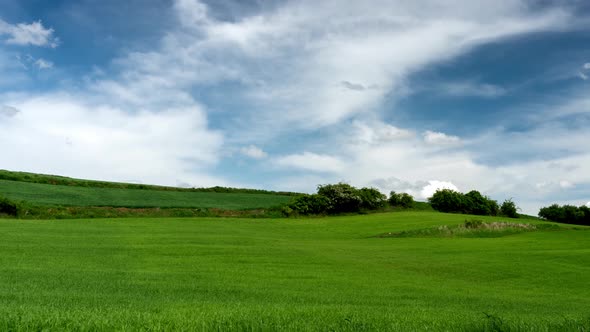 Rural landscape