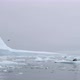 SLO MO MS Iceberg and ice floes on water near Torgersen Island / Antarctic Peninsula, Antarctica - VideoHive Item for Sale