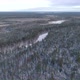 Flight Over a Taiga Forest in Winter - VideoHive Item for Sale