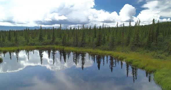 Rises Above the Surface of The Lake and The Panoramic View of A Forest Opens