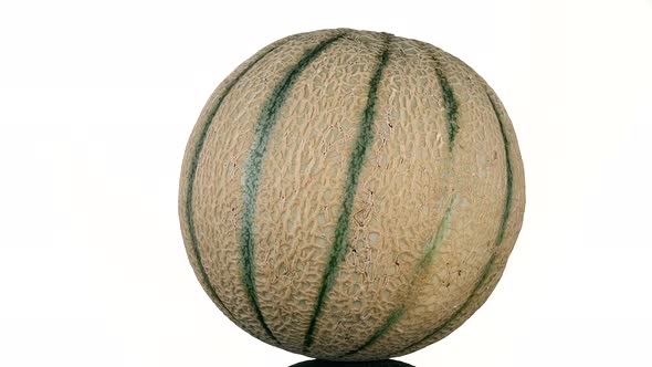 Whole ripe of Japanese Cantaloupe melon rotate on white Background.