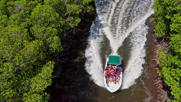 Aerial Low Above Tourists Sat in Speedboat Cruising Along El Morro National Park Mangrove Forest Wat