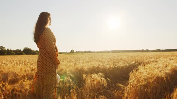 Pregnant woman in the rays of the sunset in the field