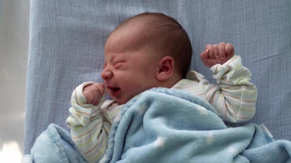 Awake Newborn Baby Face Portrait Acne Allergic Irritations Early Days Grimace Crying On Blue