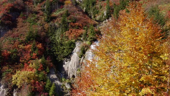 Waterfall and Autumn