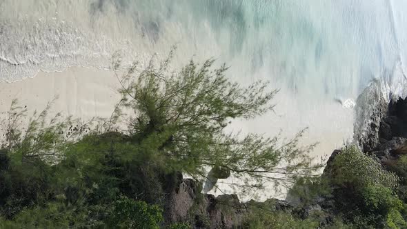 Vertical Video of the Ocean Near the Coast of Zanzibar Tanzania Aerial View