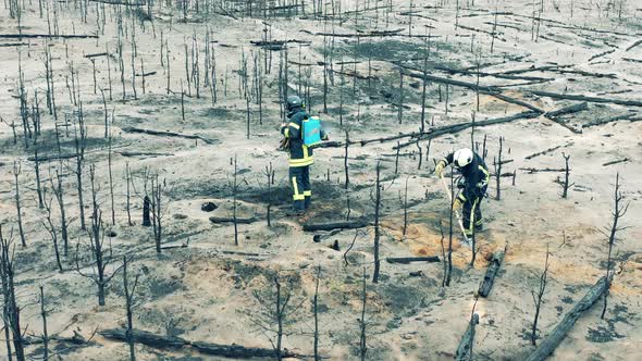 Forest Fire Zone with Two Firefighters Damping Down the Ground