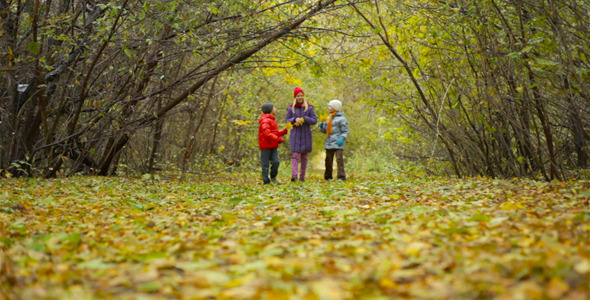 Autumn Weekend Walk