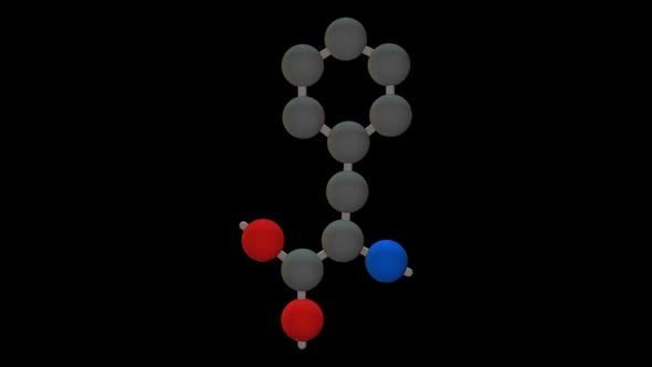 L-phenylalanine - Amino acid model