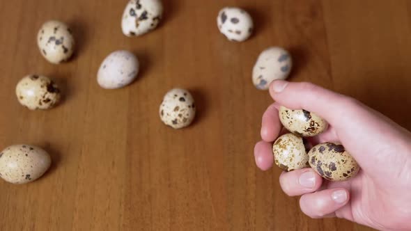 Female Hand Takes Three Quail Eggs From the Table Examines Them in Her Hand