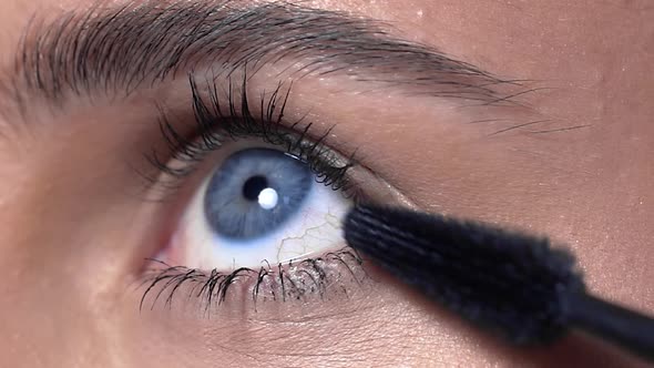 Close Up of the Eye Lashes Makeup, Woman with Evening Makeup Paints Lashes, Eye Makeup, Beauty