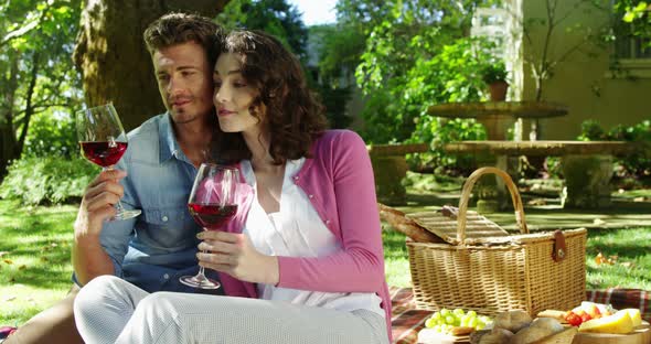 Couple interacting while having red wine in park