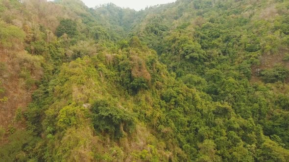 View of Mountain Forest Landscape. Bali