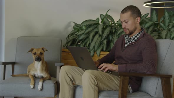 An african american man brings his dog to work at his high tech job