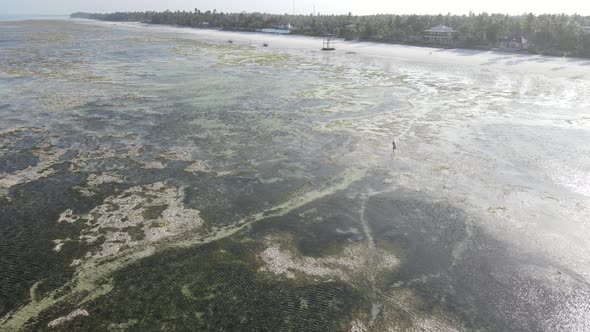 Aerial View of Low Tide in the Ocean Near the Coast of Zanzibar Tanzania Slow Motion