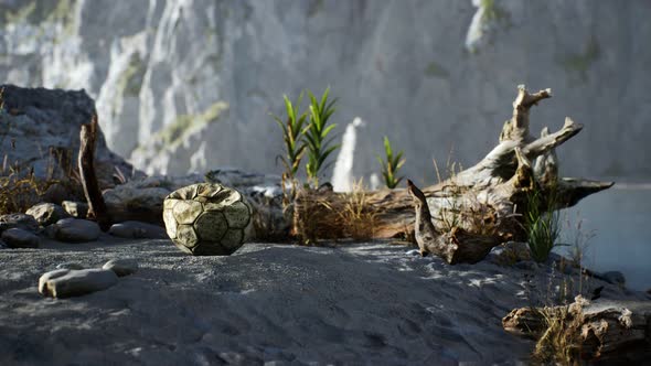 An Old Torn Soccer Ball Thrown Lies on Sand of Sea Beach