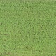 Green Corn Crop Fields on a Sunny Day Aerial Shot Fly Over with Drone - VideoHive Item for Sale