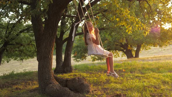 Child Swinging on a Swing in Park in Sun, Young Girl Swinging on Rope Swing on an Oak Branch