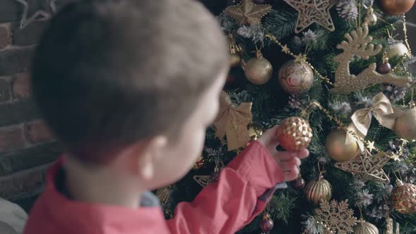 Boy Watches Golden Christmas Decorations on New Year Tree