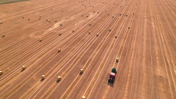 Bale Machine Collect Straw in the Field and Make Large Bales